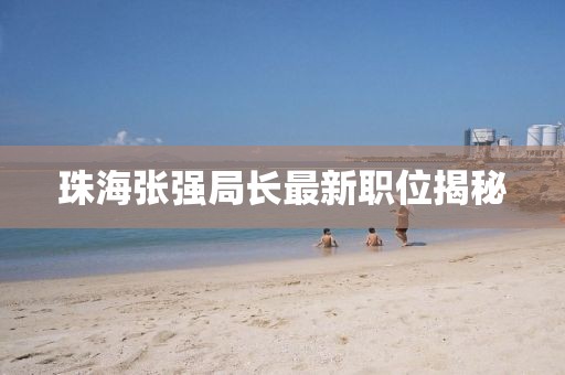 珠海張強局長最新職位揭秘