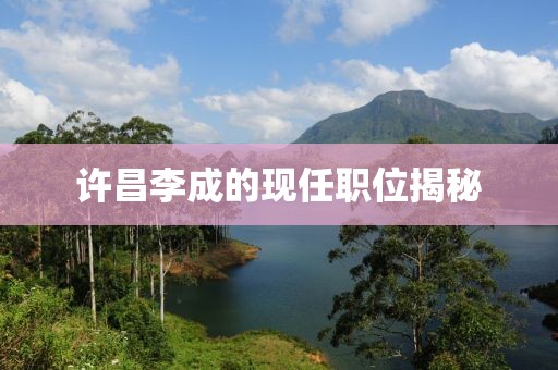 許昌李成的現任職位揭秘