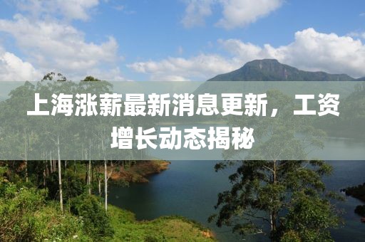 上海漲薪最新消息更新，工資增長動態揭秘