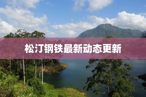 松汀鋼鐵最新動態更新