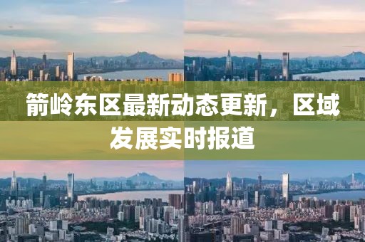 箭嶺東區最新動態更新，區域發展實時報道