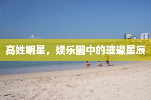 高姓明星，娛樂圈中的璀璨星辰