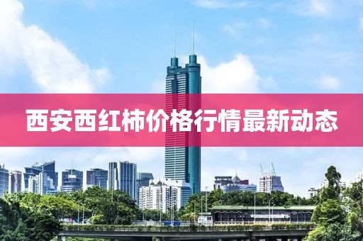 西安西紅柿價格行情最新動態
