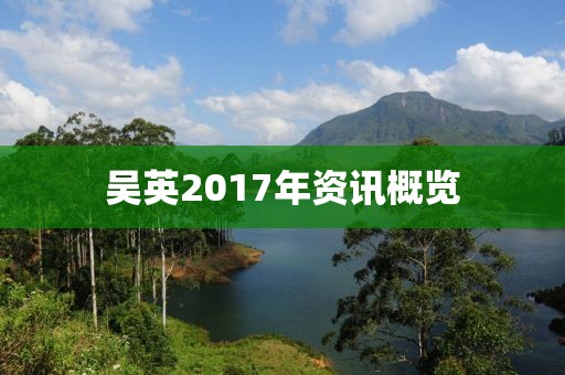 吳英2017年資訊概覽