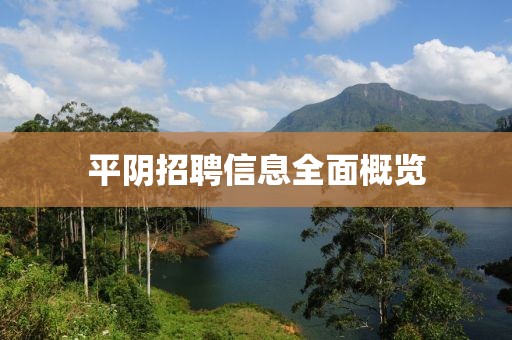 平陰招聘信息全面概覽