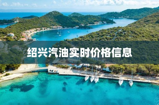 紹興汽油實時價格信息