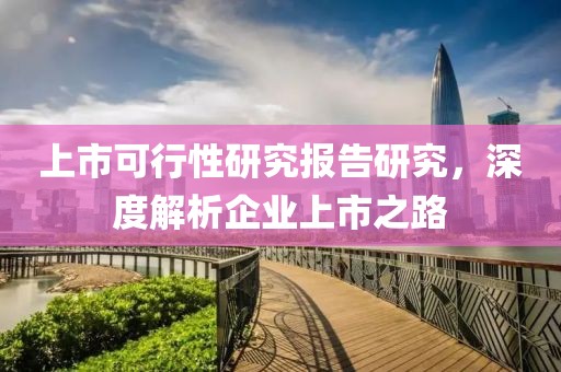 上市可行性研究報告研究，深度解析企業上市之路
