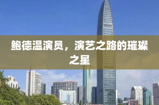 鮑德溫演員，演藝之路的璀璨之星