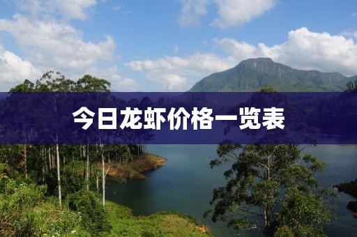 今日龍蝦價格一覽表