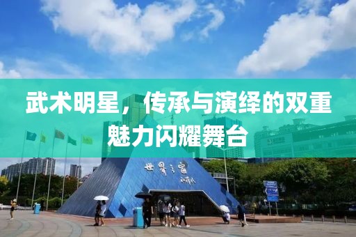 武術明星，傳承與演繹的雙重魅力閃耀舞臺