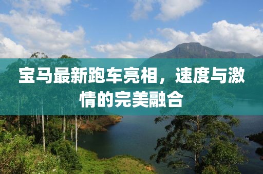 寶馬最新跑車亮相，速度與激情的完美融合