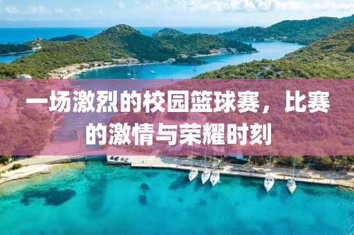 一場激烈的校園籃球賽，比賽的激情與榮耀時刻