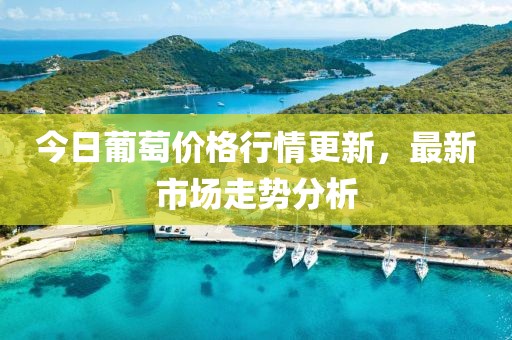 今日葡萄價格行情更新，最新市場走勢分析