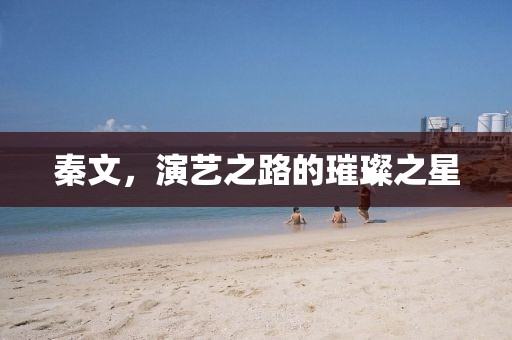 秦文，演藝之路的璀璨之星
