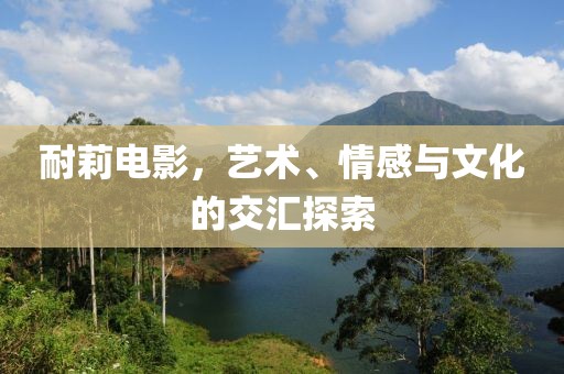 耐莉電影，藝術、情感與文化的交匯探索