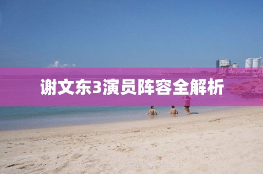 謝文東3演員陣容全解析