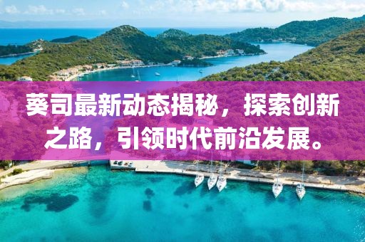 葵司最新動態揭秘，探索創新之路，引領時代前沿發展。