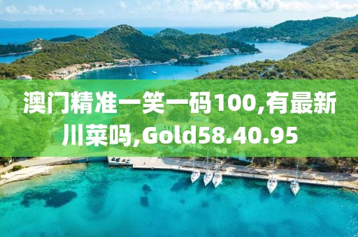澳門精準一笑一碼100,有最新川菜嗎,Gold58.40.95