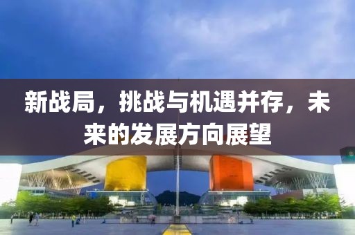 新戰局，挑戰與機遇并存，未來的發展方向展望