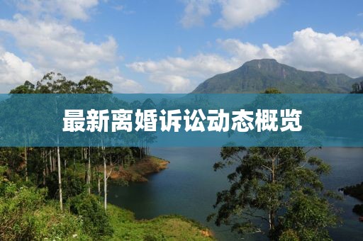 最新離婚訴訟動態概覽
