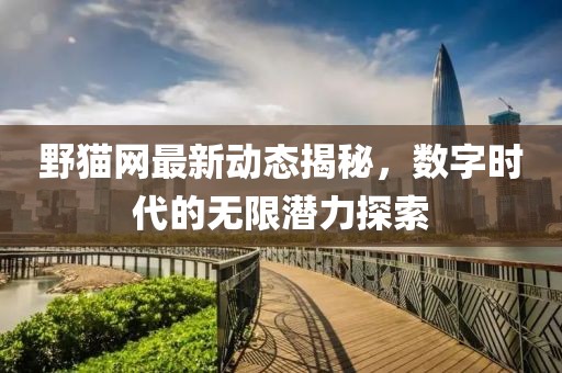 野貓網最新動態揭秘，數字時代的無限潛力探索