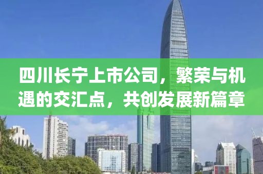 四川長寧上市公司，繁榮與機遇的交匯點，共創發展新篇章