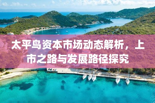 太平鳥資本市場動態解析，上市之路與發展路徑探究