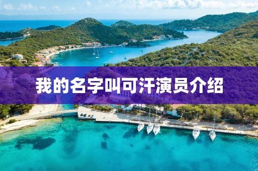 我的名字叫可汗演員介紹