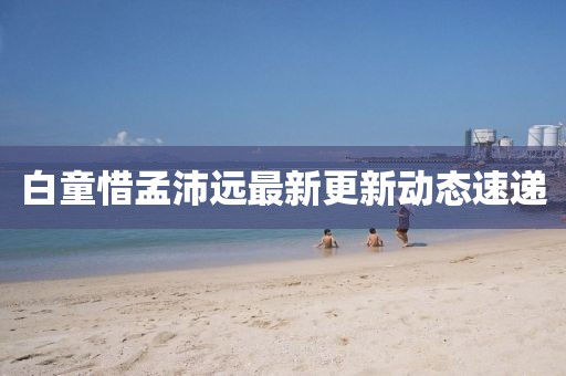 白童惜孟沛遠最新更新動態速遞