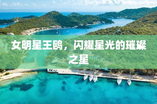 女明星王鷗，閃耀星光的璀璨之星