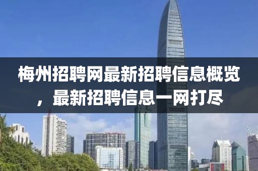 梅州招聘網最新招聘信息概覽，最新招聘信息一網打盡