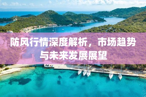 防風行情深度解析，市場趨勢與未來發展展望