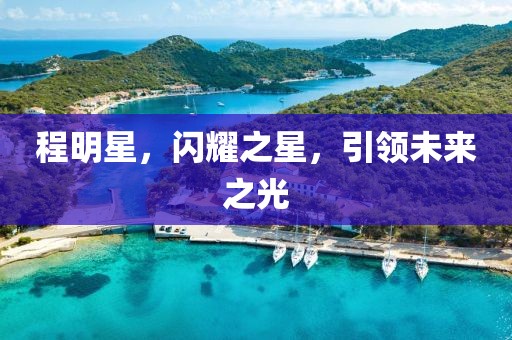 程明星，閃耀之星，引領未來之光