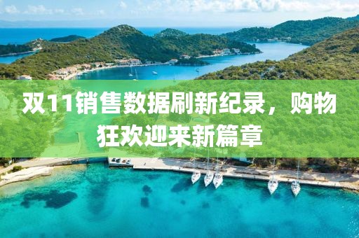 雙11銷售數據刷新紀錄，購物狂歡迎來新篇章