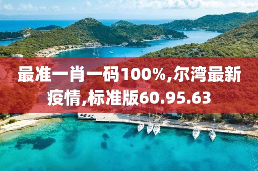 最準一肖一碼100%,爾灣最新疫情,標準版60.95.63