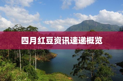 四月紅豆資訊速遞概覽