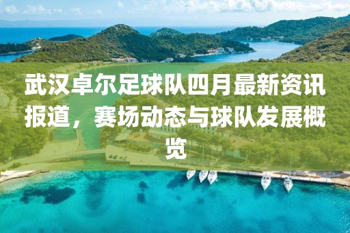 武漢卓爾足球隊四月最新資訊報道，賽場動態與球隊發展概覽