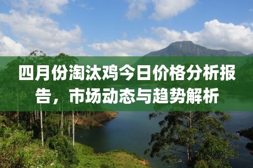 四月份淘汰雞今日價格分析報告，市場動態與趨勢解析