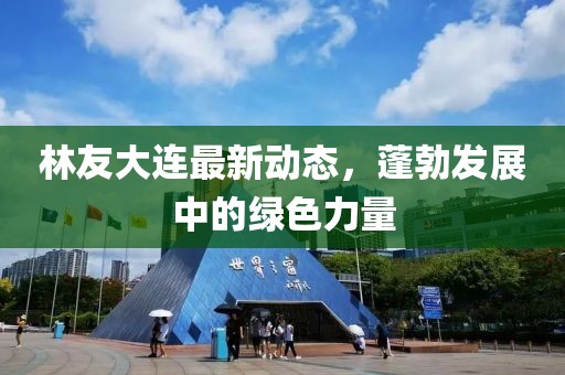 林友大連最新動態，蓬勃發展中的綠色力量