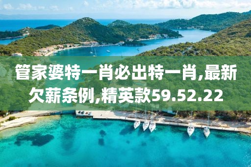 管家婆特一肖必出特一肖,最新欠薪條例,精英款59.52.22