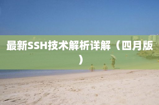 最新SSH技術解析詳解（四月版）