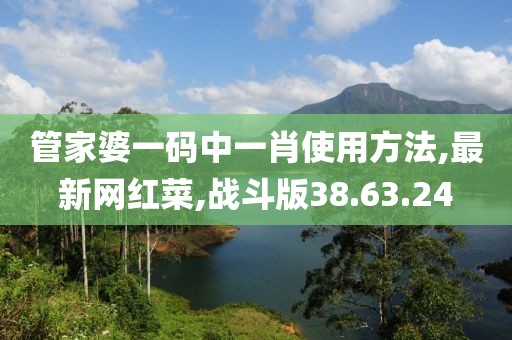 管家婆一碼中一肖使用方法,最新網紅菜,戰斗版38.63.24