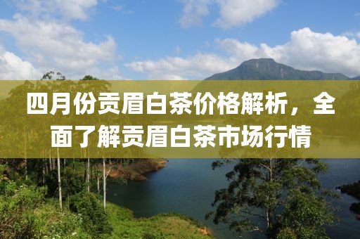 四月份貢眉白茶價格解析，全面了解貢眉白茶市場行情
