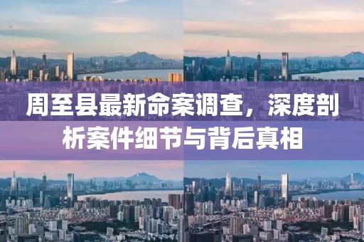 周至縣最新命案調查，深度剖析案件細節與背后真相