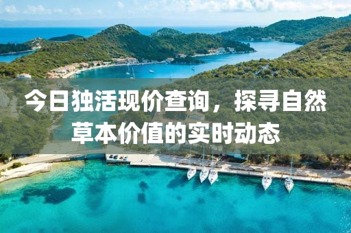 今日獨活現價查詢，探尋自然草本價值的實時動態