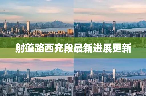 射蓬路西充段最新進展更新
