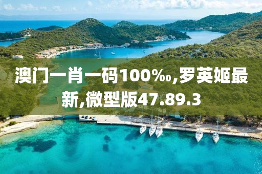 澳門一肖一碼100‰,羅英姬最新,微型版47.89.3