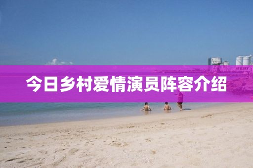 今日鄉村愛情演員陣容介紹