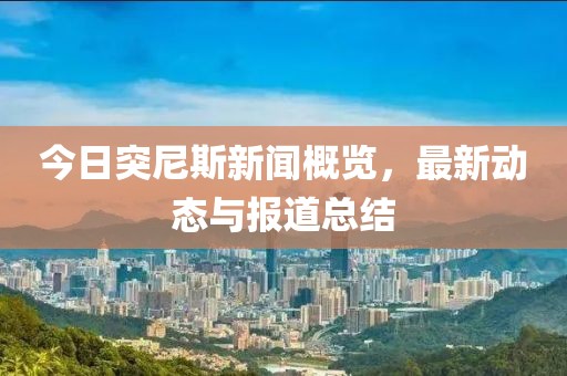 今日突尼斯新聞概覽，最新動態與報道總結