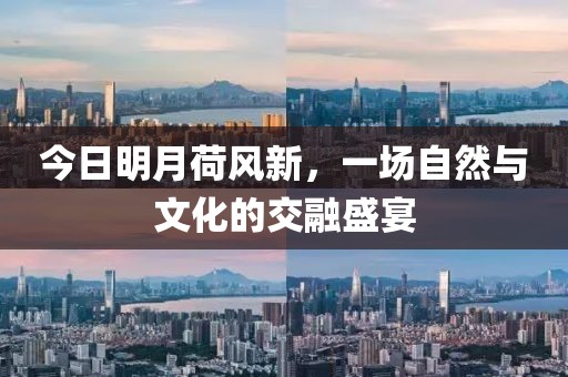 今日明月荷風新，一場自然與文化的交融盛宴